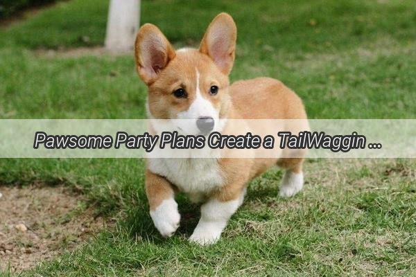 Pawsome Party Plans Create a TailWaggin Birthday Card for Your Furry Friend